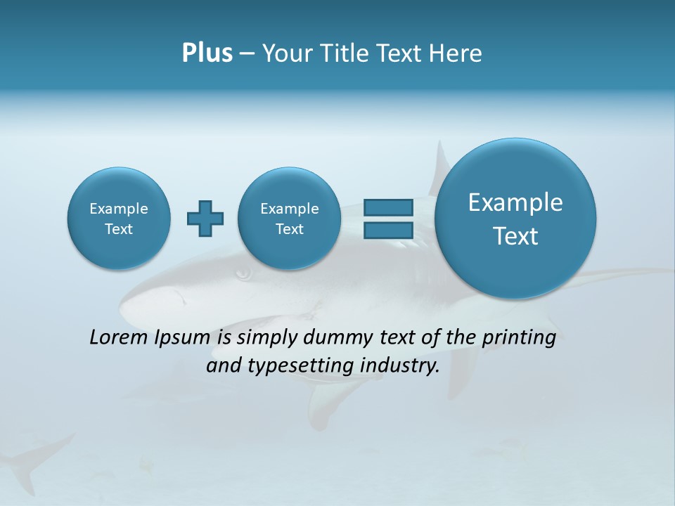 Sea Life Wildlife Sea PowerPoint Template