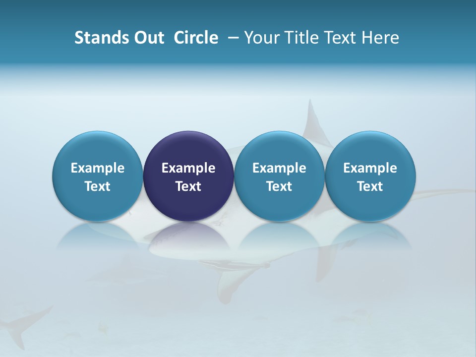 Sea Life Wildlife Sea PowerPoint Template