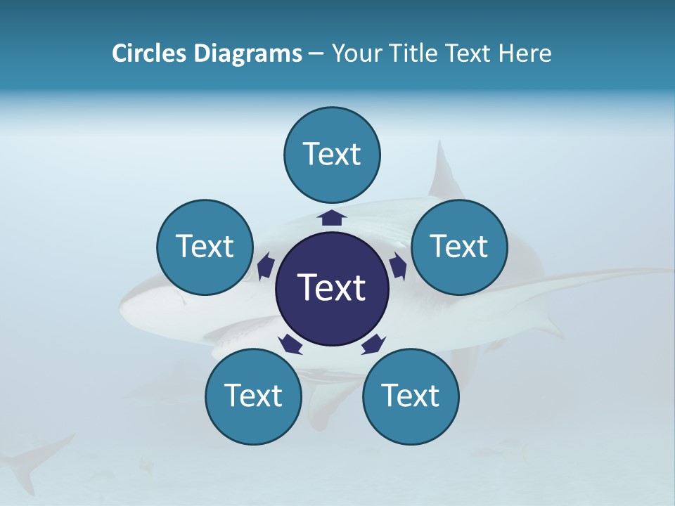 Sea Life Wildlife Sea PowerPoint Template