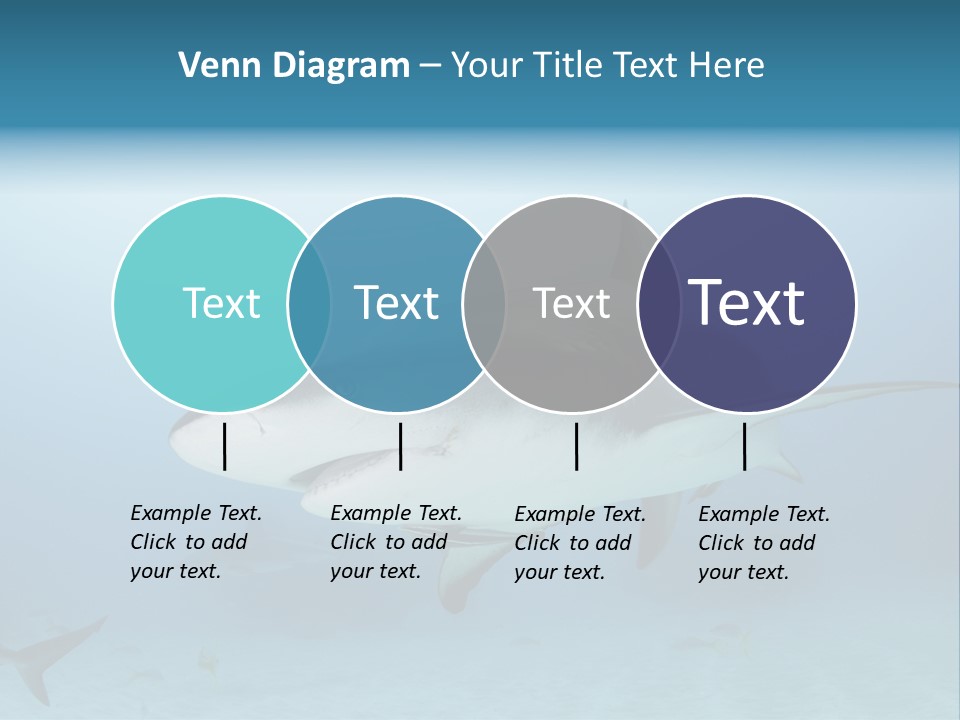 Sea Life Wildlife Sea PowerPoint Template