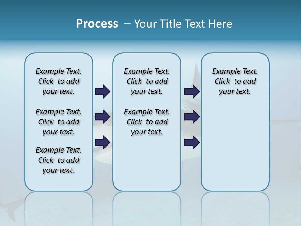 Sea Life Wildlife Sea PowerPoint Template