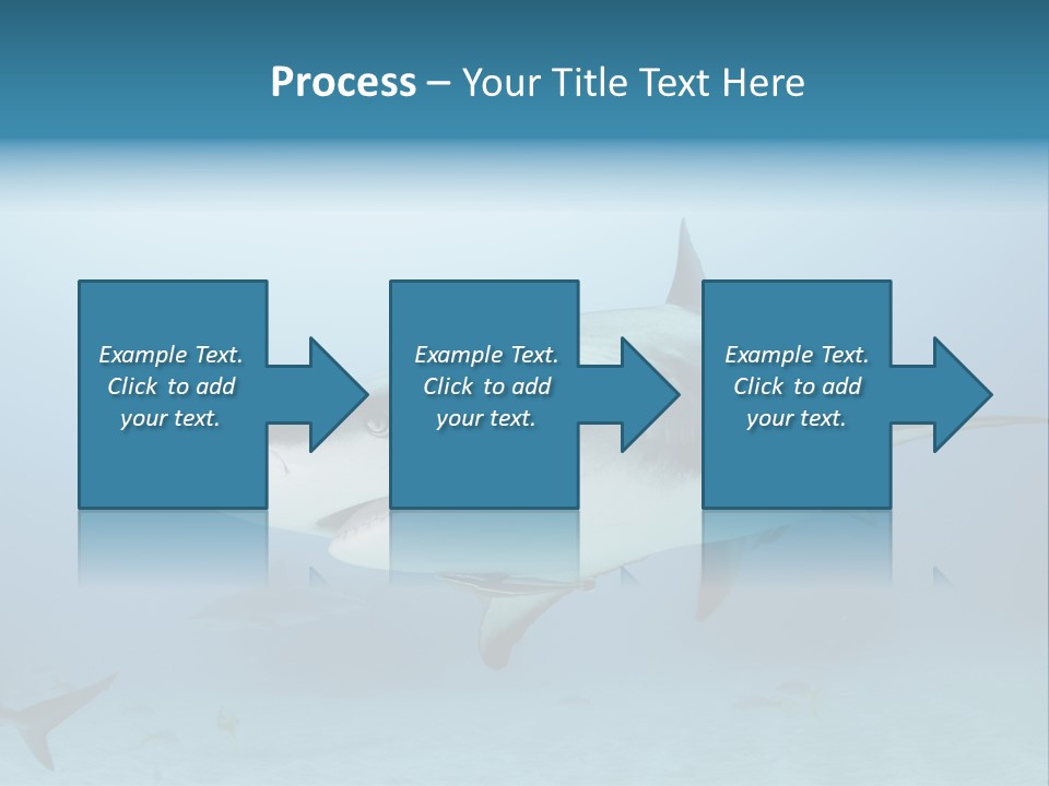 Sea Life Wildlife Sea PowerPoint Template