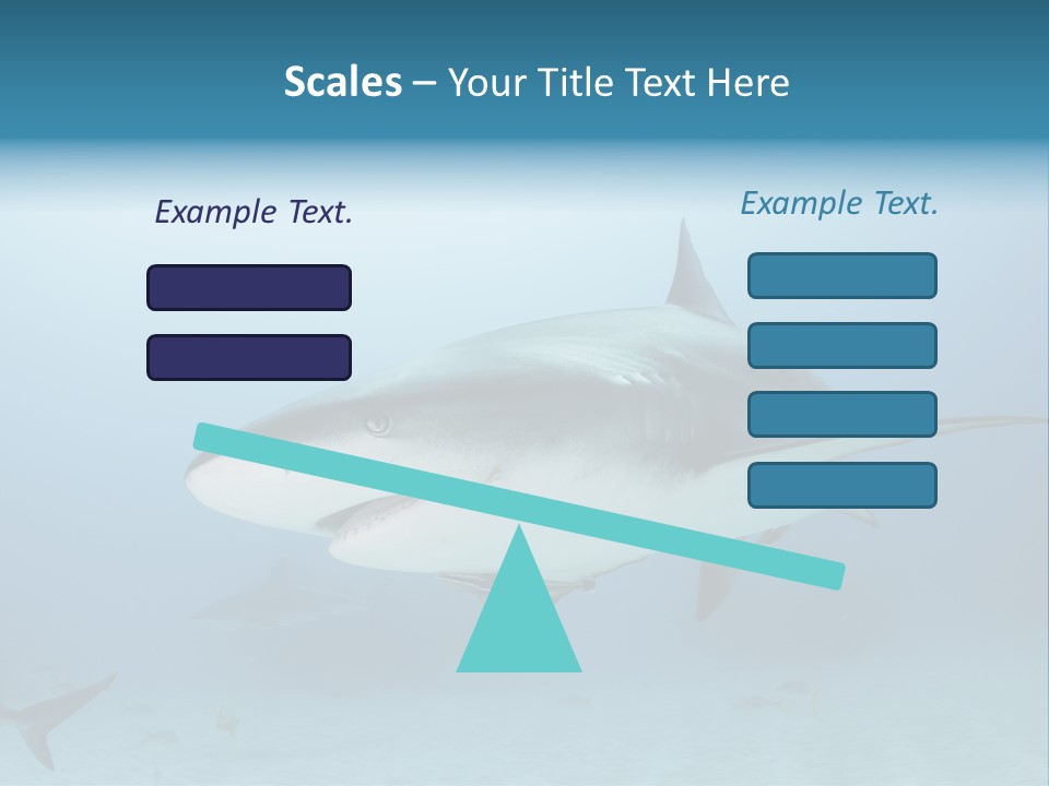 Sea Life Wildlife Sea PowerPoint Template