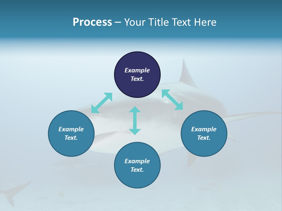 Sea Life Wildlife Sea PowerPoint Template