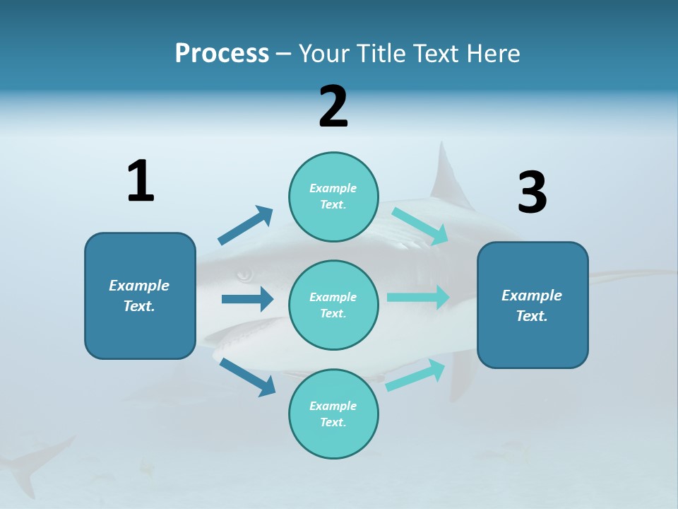 Sea Life Wildlife Sea PowerPoint Template