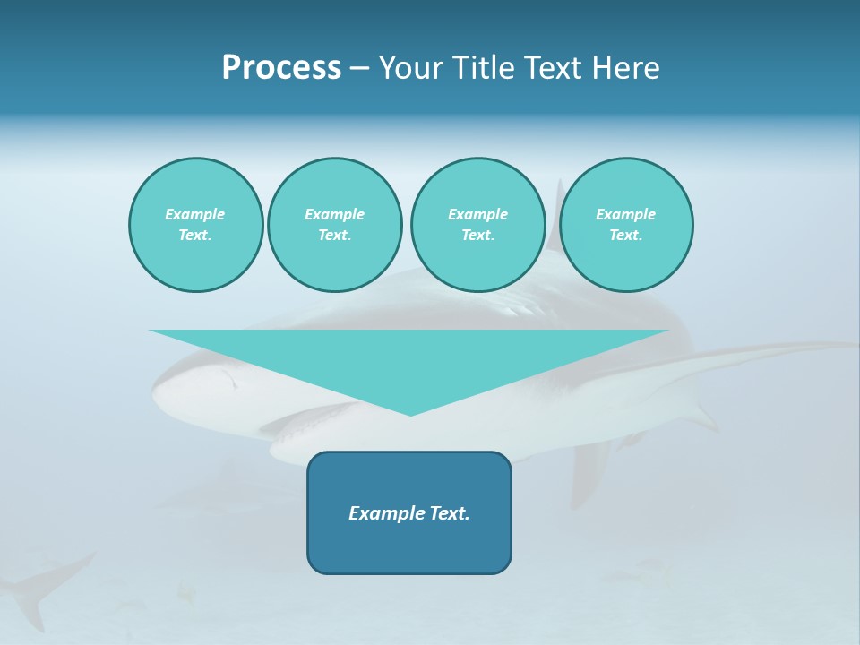 Sea Life Wildlife Sea PowerPoint Template