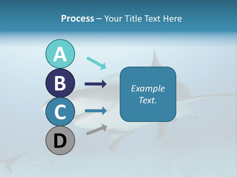 Sea Life Wildlife Sea PowerPoint Template