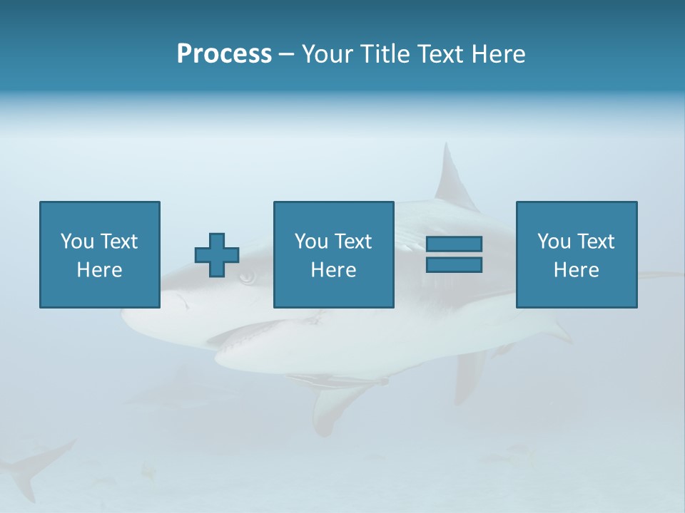 Sea Life Wildlife Sea PowerPoint Template