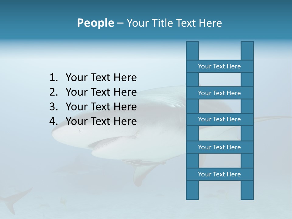 Sea Life Wildlife Sea PowerPoint Template
