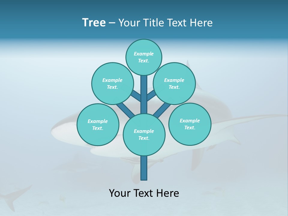 Sea Life Wildlife Sea PowerPoint Template