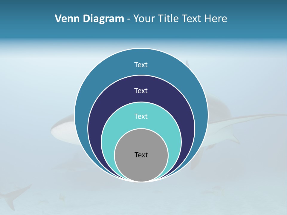 Sea Life Wildlife Sea PowerPoint Template