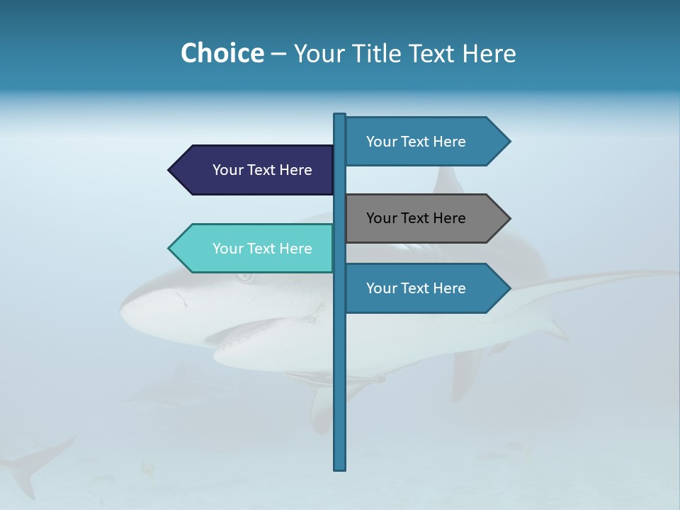 Sea Life Wildlife Sea PowerPoint Template