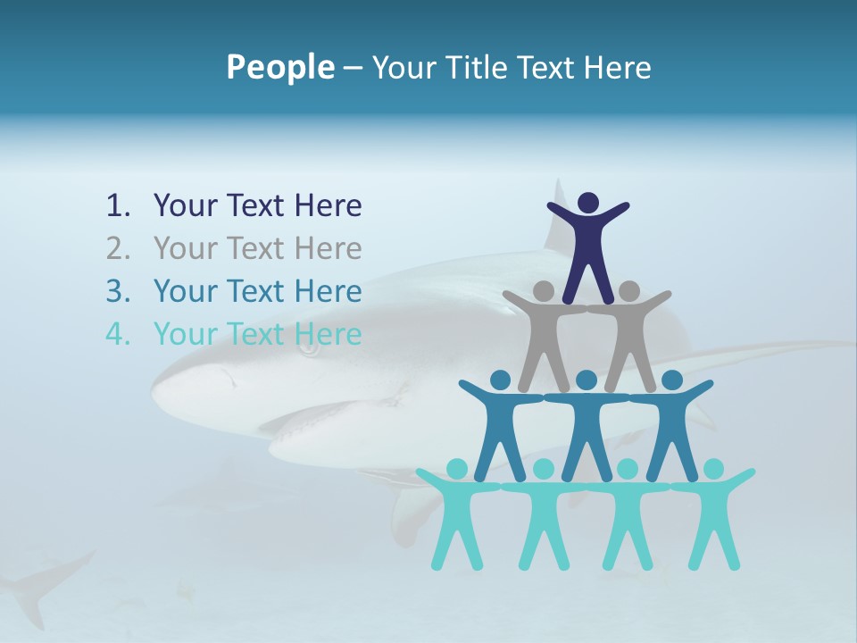 Sea Life Wildlife Sea PowerPoint Template