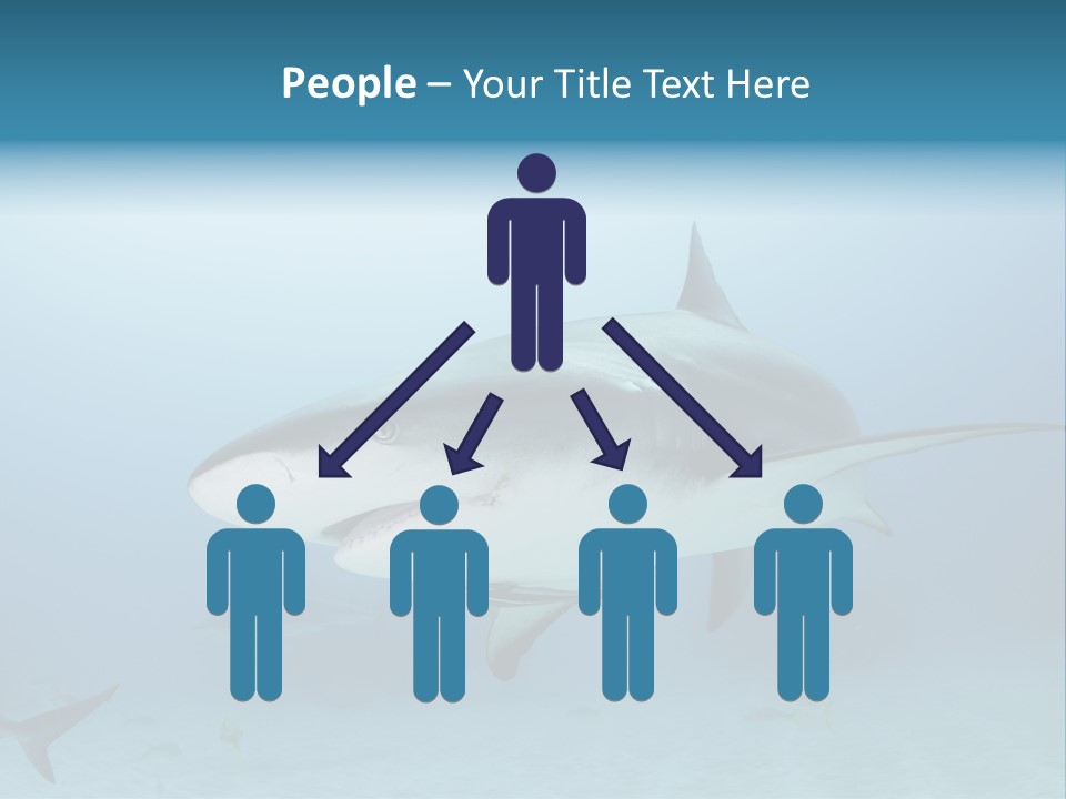 Sea Life Wildlife Sea PowerPoint Template