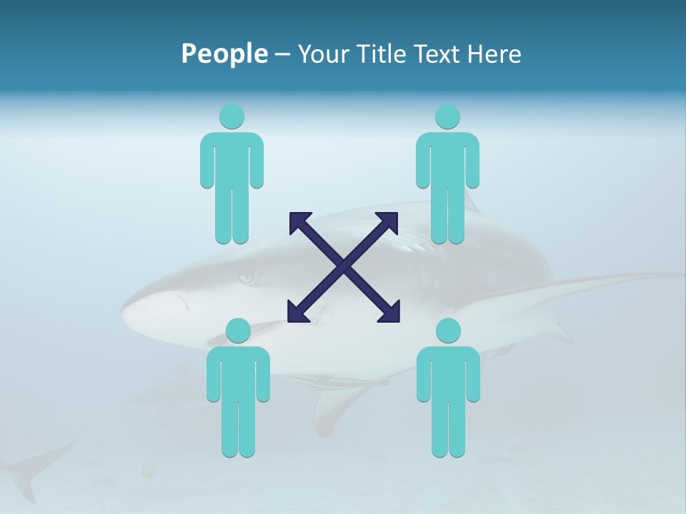 Sea Life Wildlife Sea PowerPoint Template