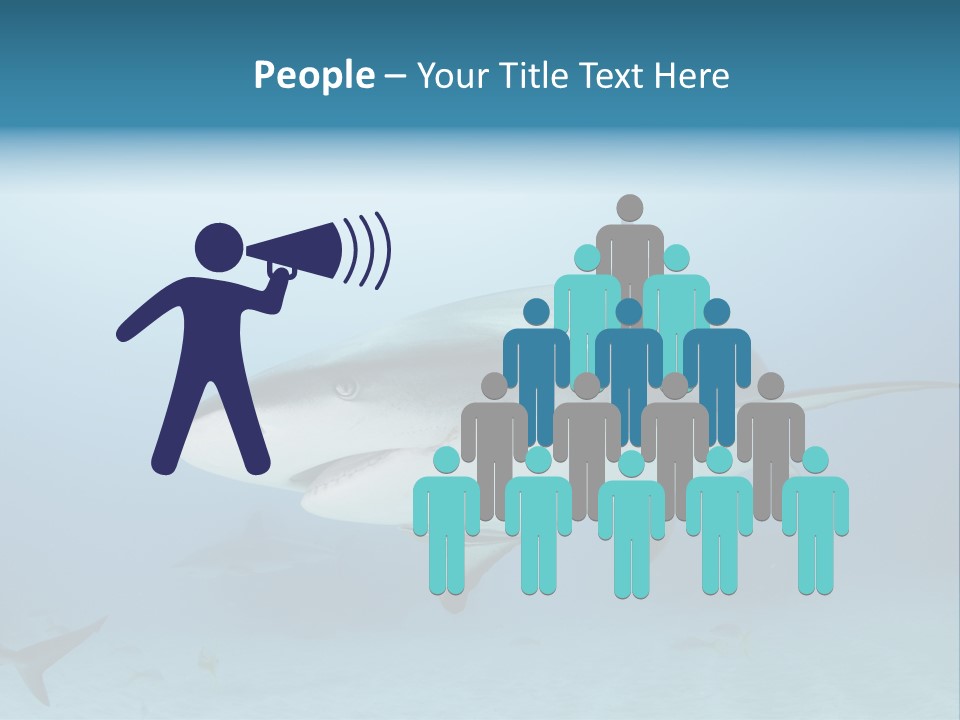 Sea Life Wildlife Sea PowerPoint Template