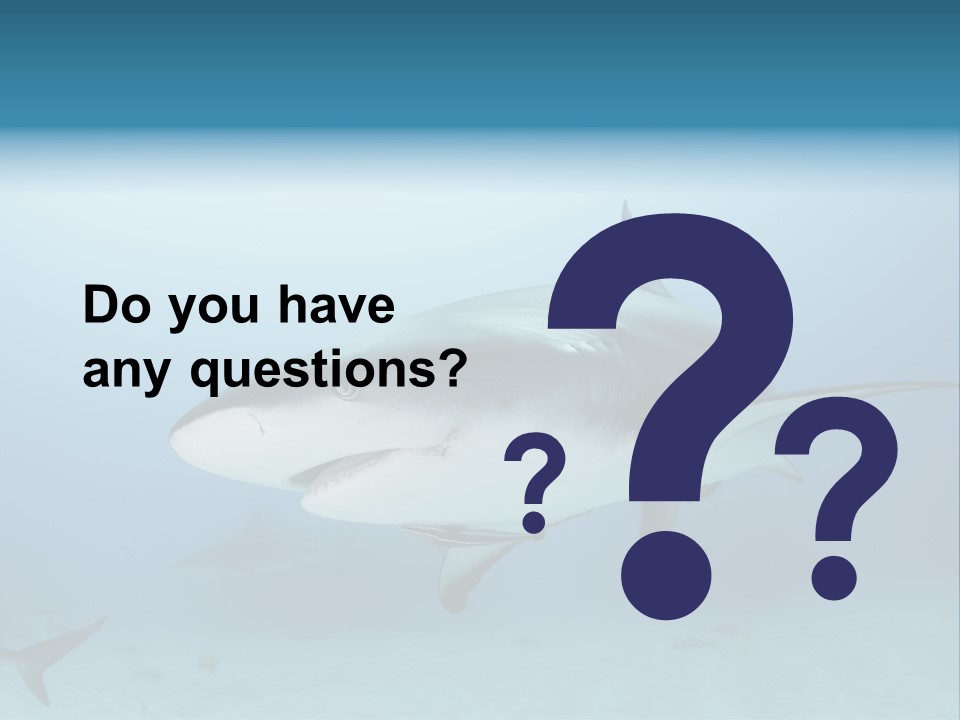 Sea Life Wildlife Sea PowerPoint Template