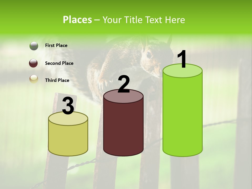 Concepts And Ideas Balance Squirrel PowerPoint Template