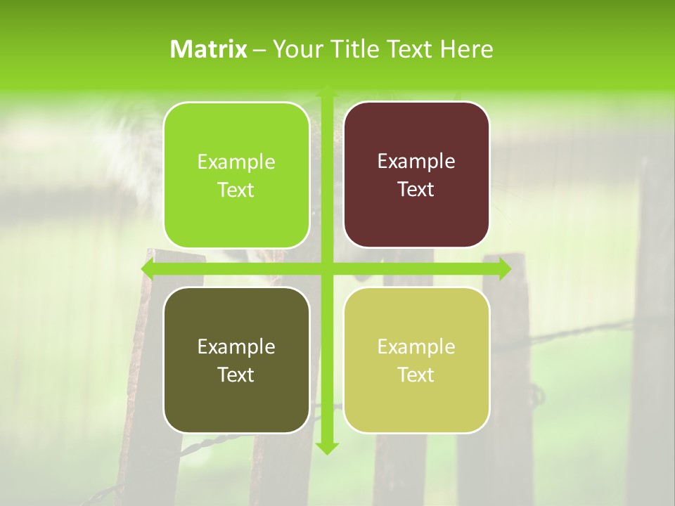 Concepts And Ideas Balance Squirrel PowerPoint Template