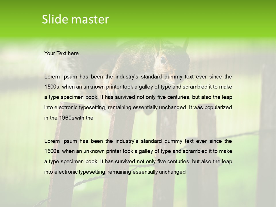 Concepts And Ideas Balance Squirrel PowerPoint Template