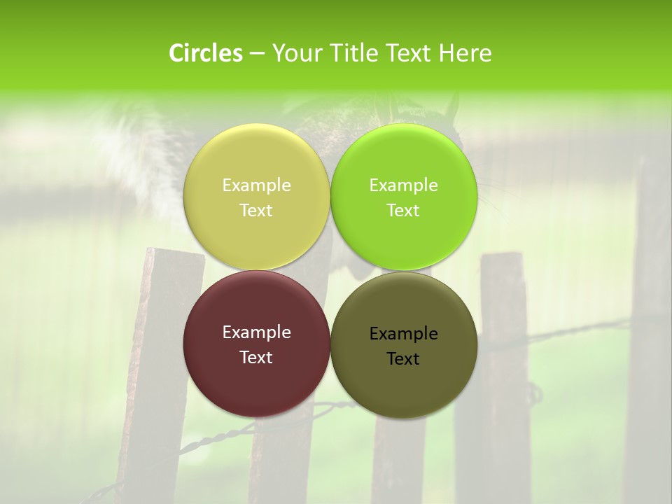 Concepts And Ideas Balance Squirrel PowerPoint Template