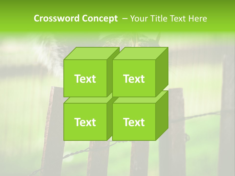 Concepts And Ideas Balance Squirrel PowerPoint Template