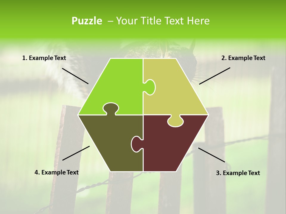 Concepts And Ideas Balance Squirrel PowerPoint Template