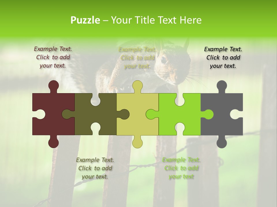 Concepts And Ideas Balance Squirrel PowerPoint Template