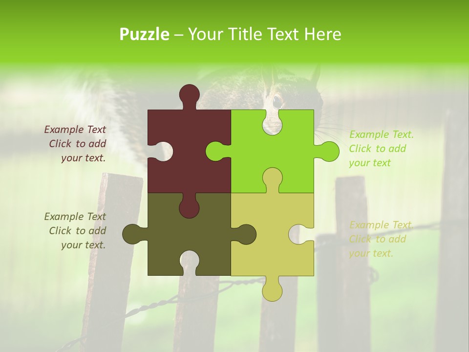 Concepts And Ideas Balance Squirrel PowerPoint Template