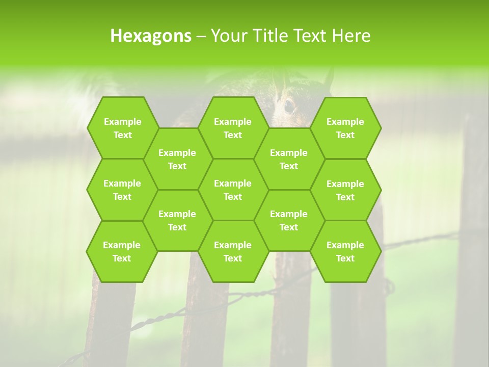 Concepts And Ideas Balance Squirrel PowerPoint Template