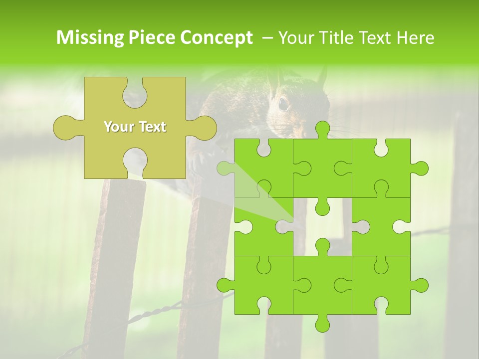 Concepts And Ideas Balance Squirrel PowerPoint Template