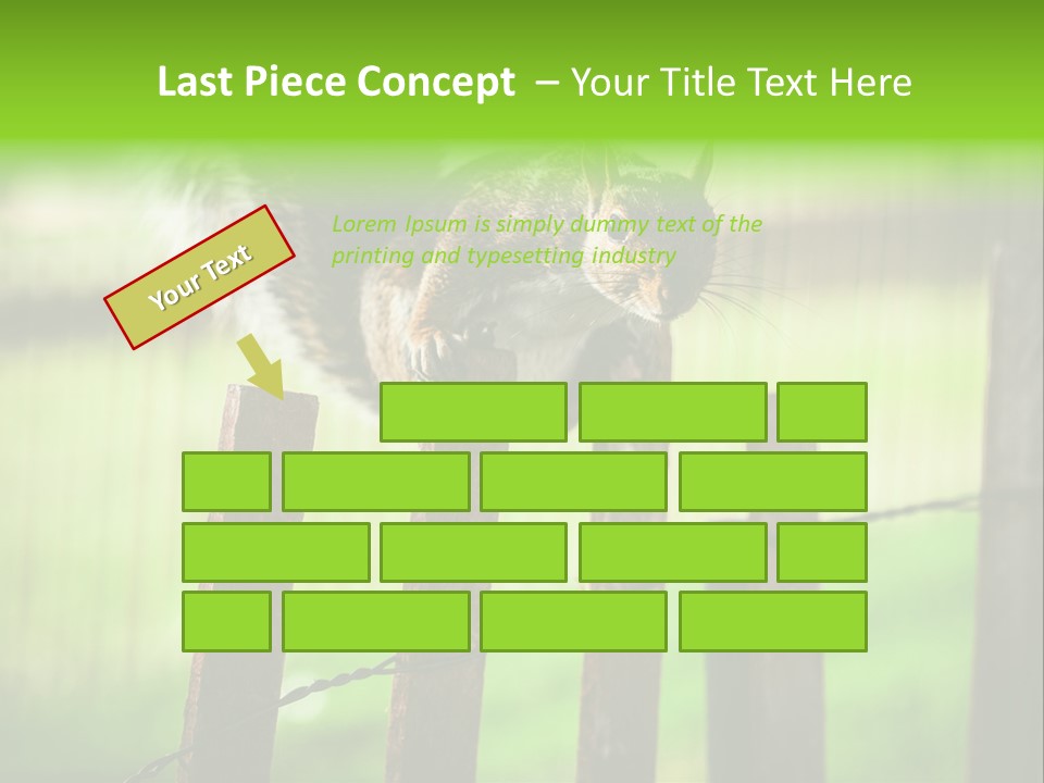 Concepts And Ideas Balance Squirrel PowerPoint Template