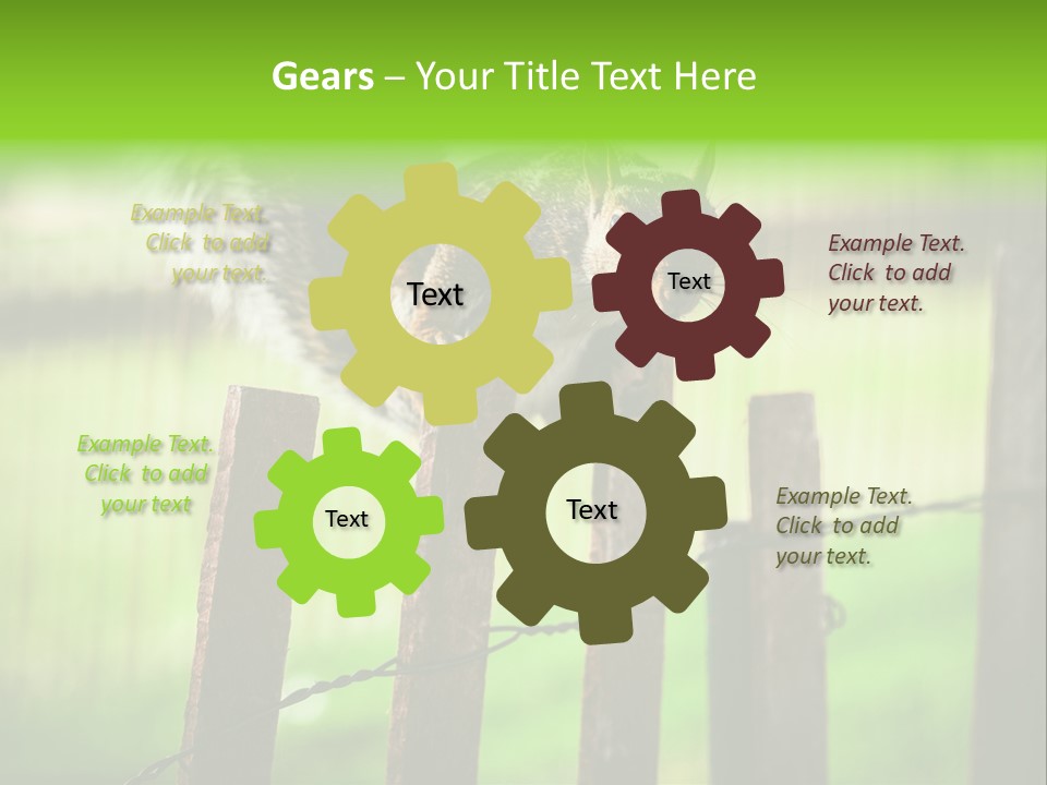 Concepts And Ideas Balance Squirrel PowerPoint Template