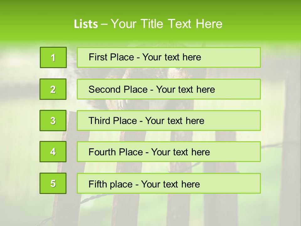 Concepts And Ideas Balance Squirrel PowerPoint Template