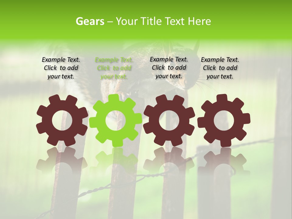 Concepts And Ideas Balance Squirrel PowerPoint Template