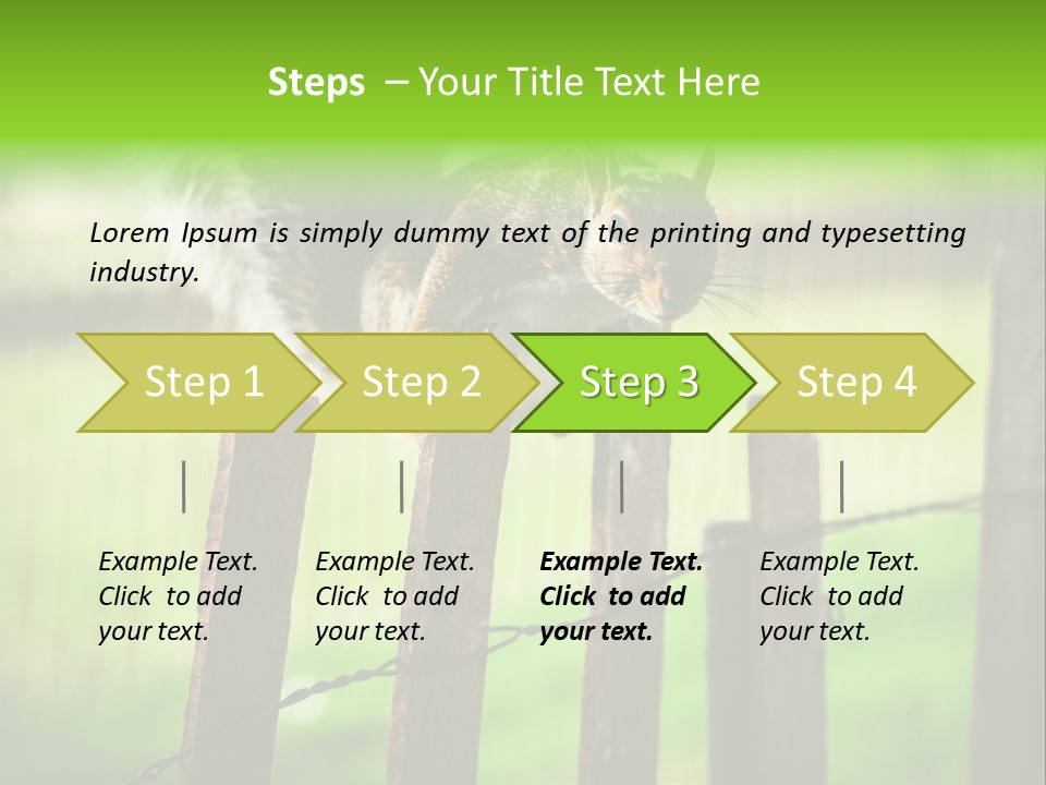 Concepts And Ideas Balance Squirrel PowerPoint Template