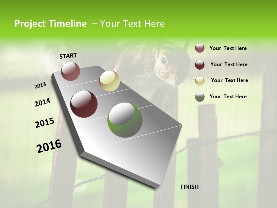 Concepts And Ideas Balance Squirrel PowerPoint Template