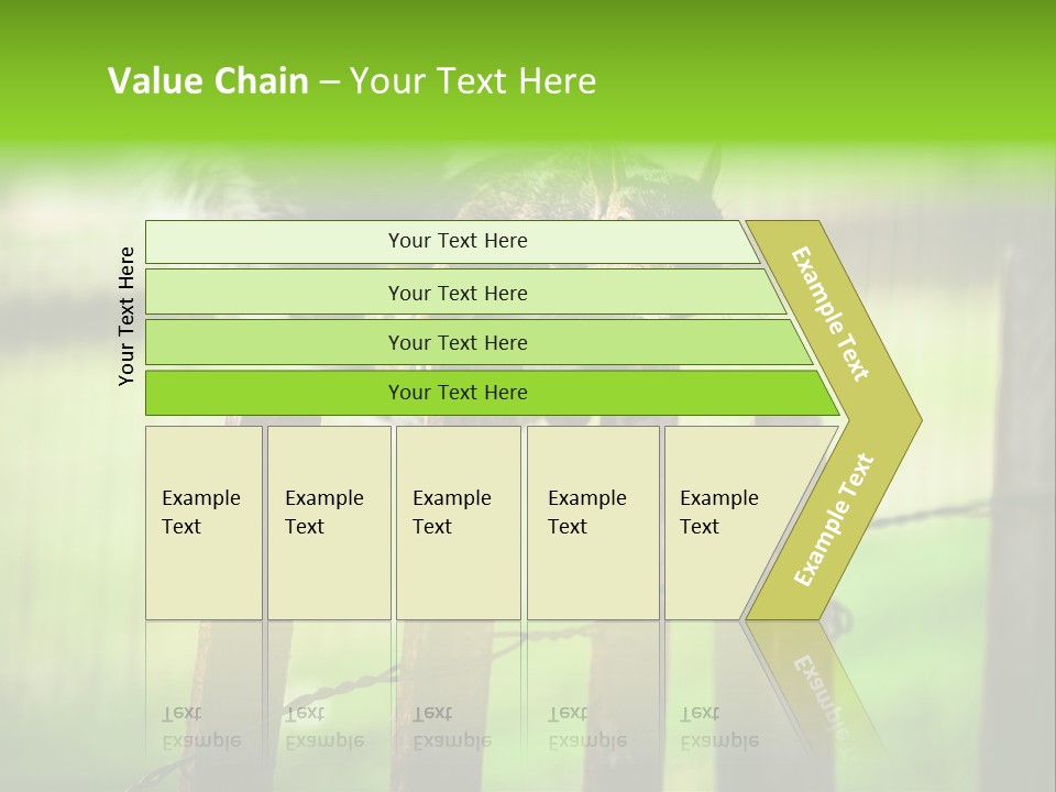 Concepts And Ideas Balance Squirrel PowerPoint Template