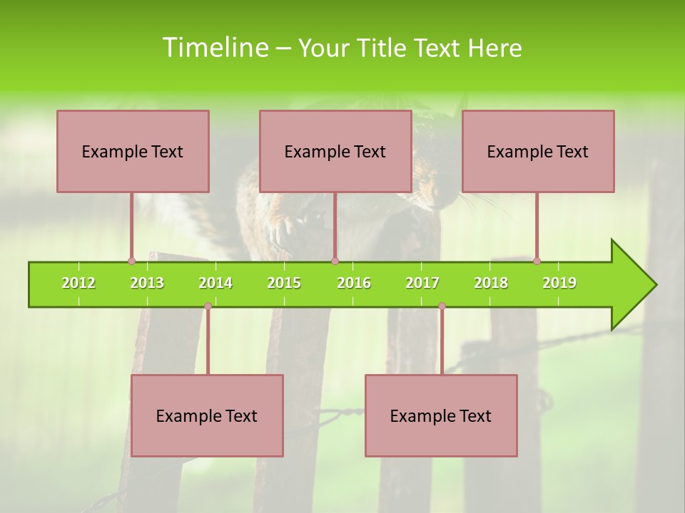 Concepts And Ideas Balance Squirrel PowerPoint Template