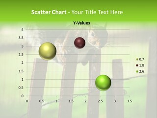 Concepts And Ideas Balance Squirrel PowerPoint Template