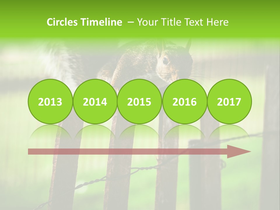 Concepts And Ideas Balance Squirrel PowerPoint Template