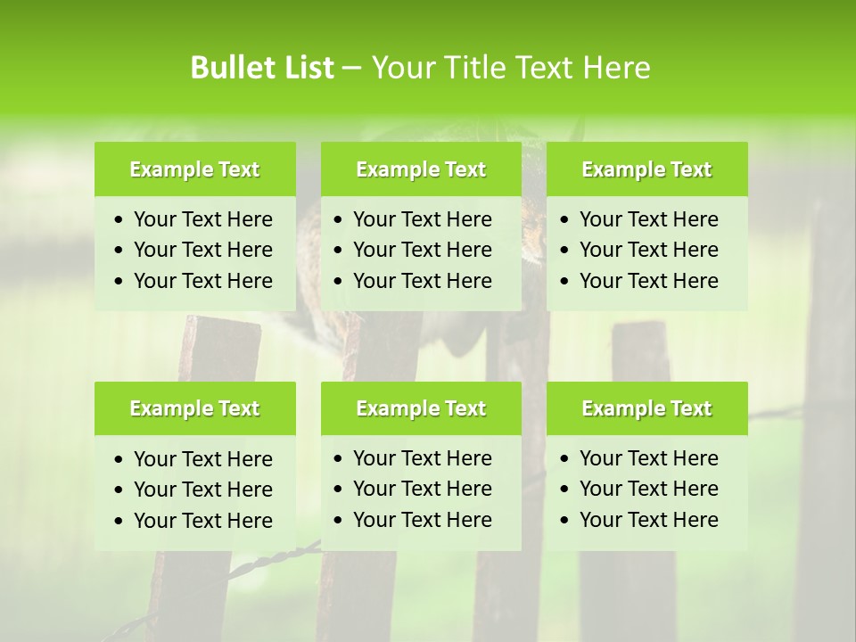 Concepts And Ideas Balance Squirrel PowerPoint Template