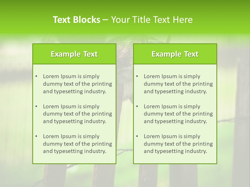Concepts And Ideas Balance Squirrel PowerPoint Template
