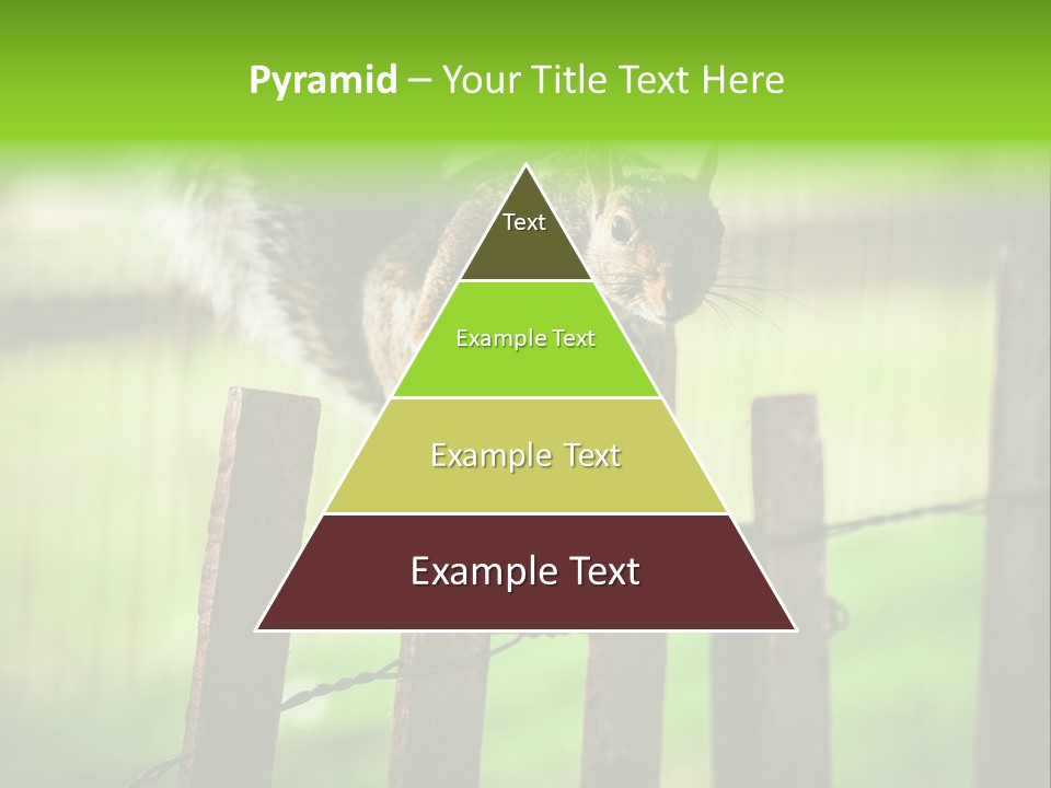 Concepts And Ideas Balance Squirrel PowerPoint Template