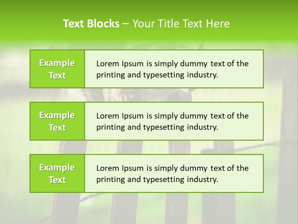 Concepts And Ideas Balance Squirrel PowerPoint Template