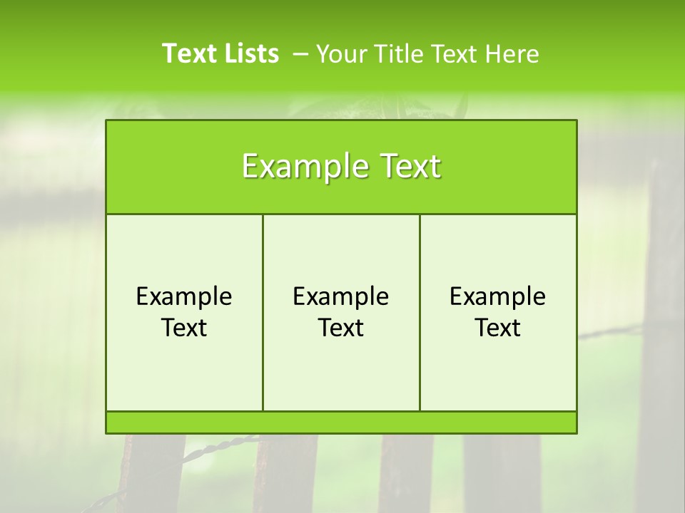 Concepts And Ideas Balance Squirrel PowerPoint Template