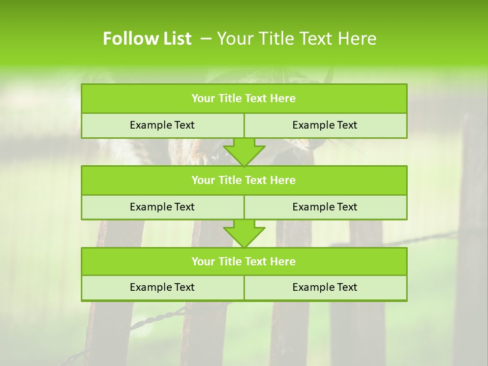 Concepts And Ideas Balance Squirrel PowerPoint Template