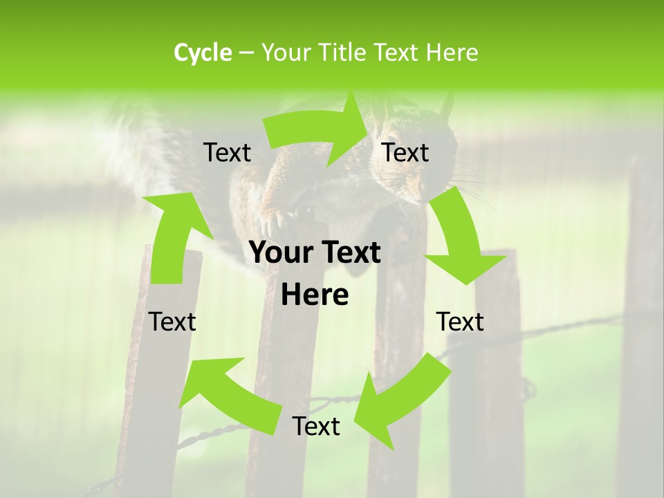 Concepts And Ideas Balance Squirrel PowerPoint Template