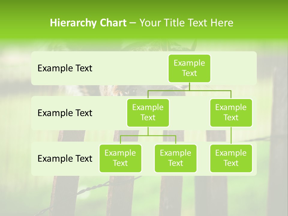 Concepts And Ideas Balance Squirrel PowerPoint Template