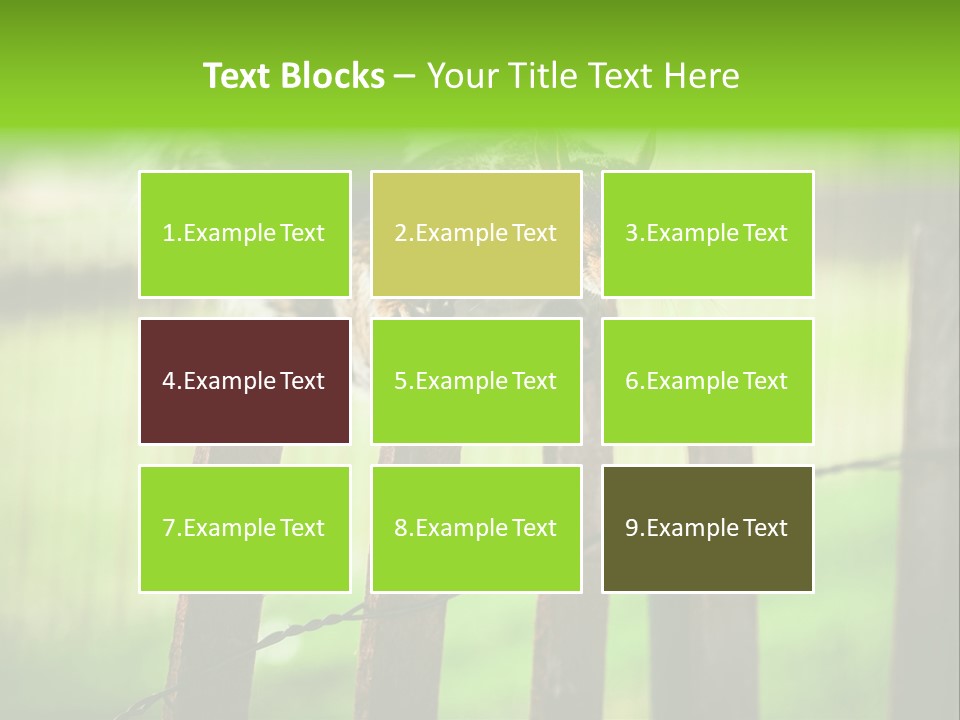 Concepts And Ideas Balance Squirrel PowerPoint Template